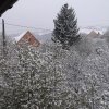 Zima Wiosną